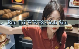 bảo trì ww88 cách sửa