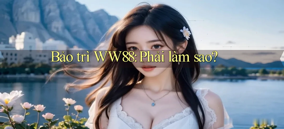 bảo trì ww88 phải làm sao
