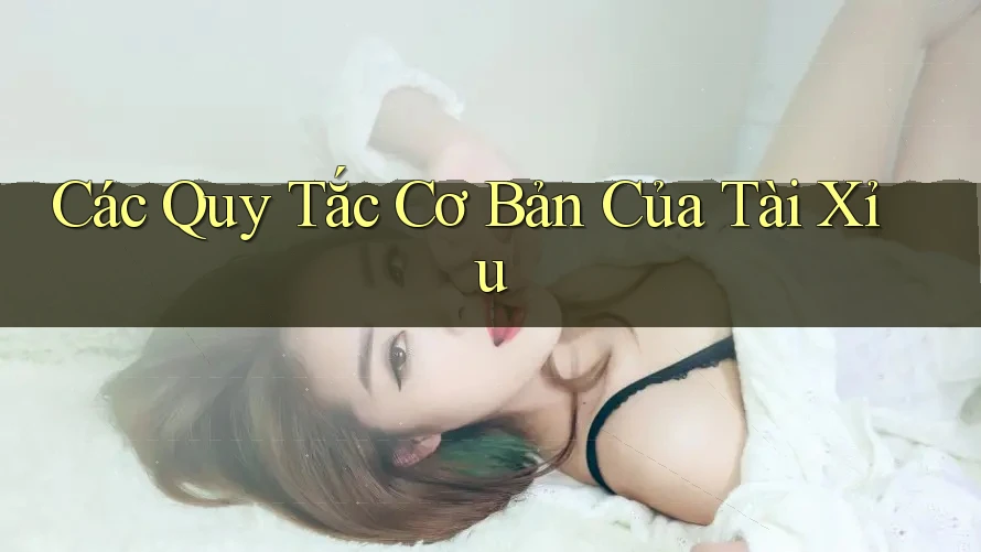 Các Quy Tắc Cơ Bản Của Tài Xỉu