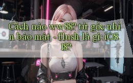 Cách nào ww88 từ góc nhìn bảo mật   flush là gì iOS 18