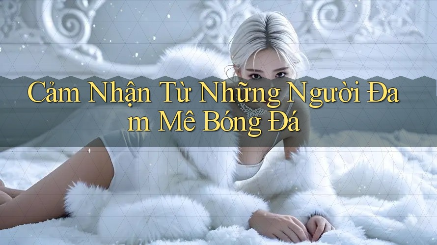 Cảm Nhận Từ Những Người Đam Mê Bóng Đá