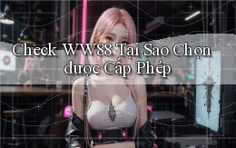 check ww88 tại sao chọn được cấp phép