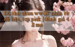 Đã thử chưa ww88 nhìn từ dữ liệu, top pick đánh giá 4.8 sao