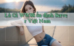 là gì ww88 ổn định server việt nam