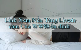 link xem nền tảng livestream của ww88 ổn định