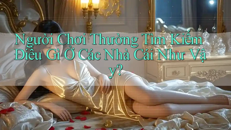 Người Chơi Thường Tìm Kiếm Điều Gì Ở Các Nhà Cái Như Vậy?