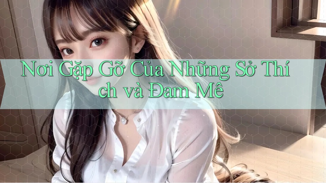 Nơi Gặp Gỡ Của Những Sở Thích và Đam Mê Nơi Gặp Gỡ Của Những Sở Thích và Đam Mê