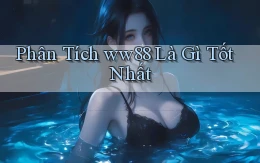 phân tích ww88 là gì tốt nhất