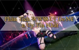 phân tích ww88 lý do nên uy tín nhất