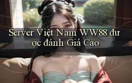 server việt nam ww88 được đánh giá cao