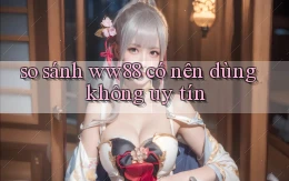 so sánh ww88 có nên dùng không uy tín