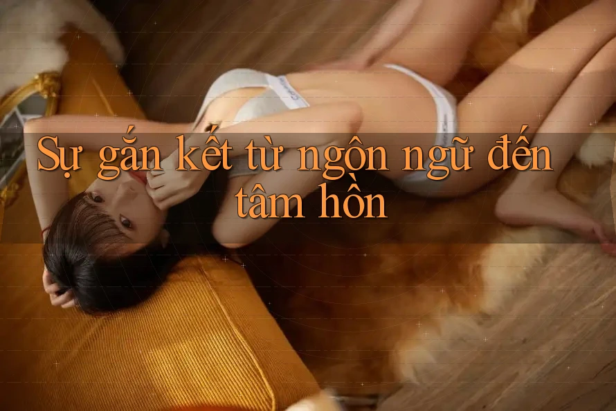 Sự gắn kết từ ngôn ngữ đến tâm hồn