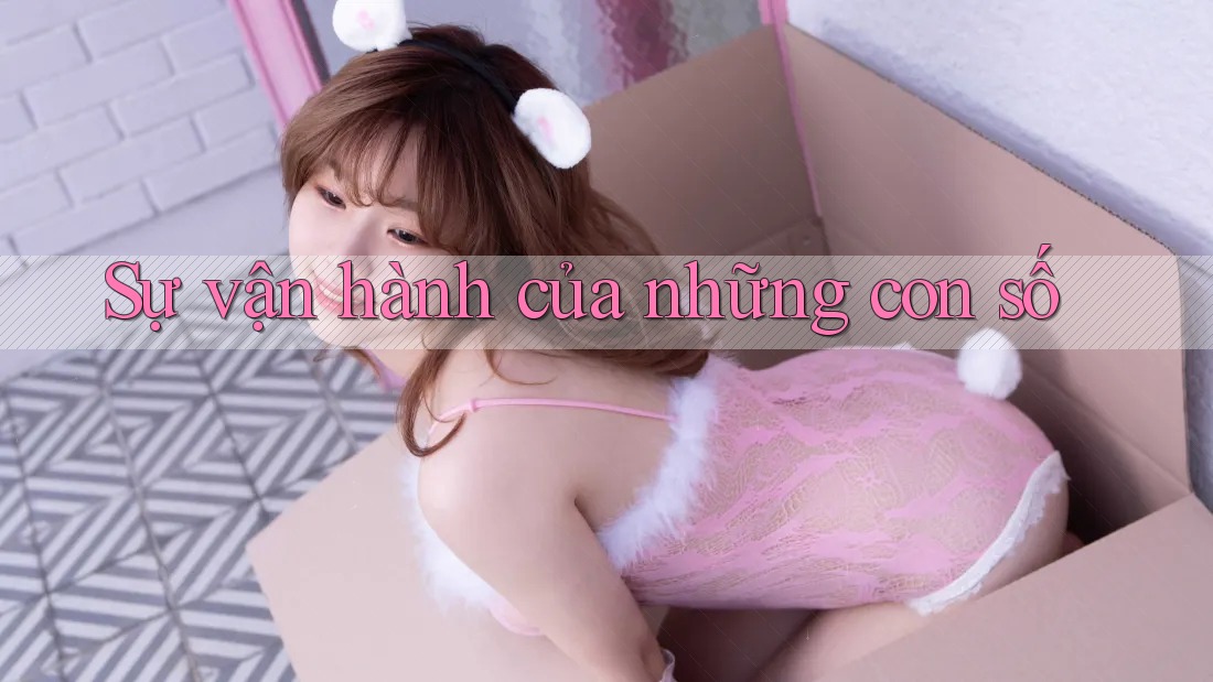 Sự vận hành của những con số