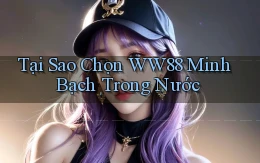 tại sao chọn ww88 minh bạch trong nước
