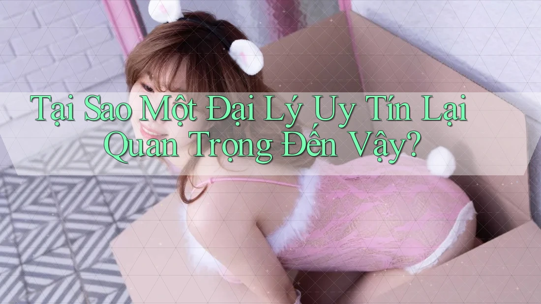 Tại Sao Một Đại Lý Uy Tín Lại Quan Trọng Đến Vậy?