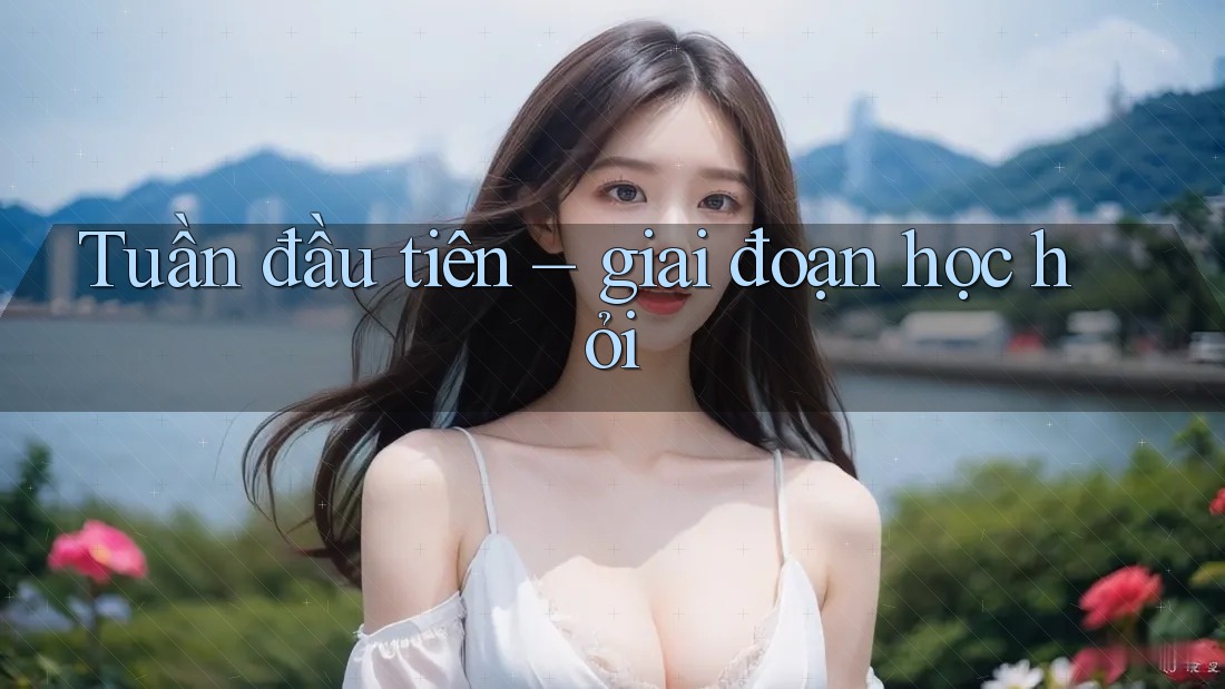 Tuần đầu tiên – giai đoạn học hỏi
