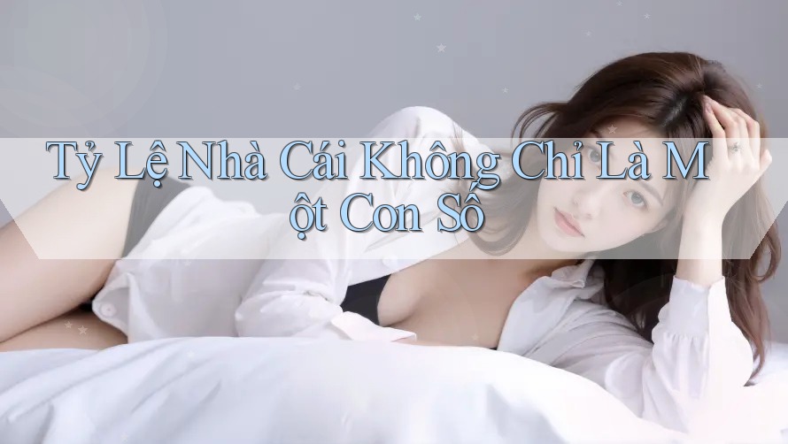 Tỷ Lệ Nhà Cái Không Chỉ Là Một Con Số