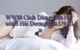 ww88 cách dùng cho người ở Hải Dương rất uy tín