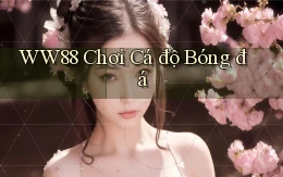 ww88 chơi cá độ bóng đá