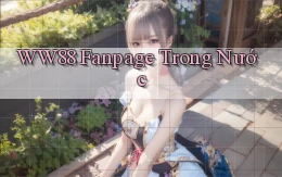 ww88 fanpage trong nước