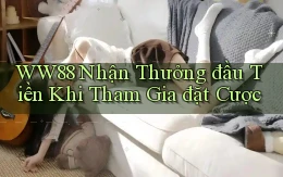ww88  nhận thưởng đầu tiền khi tham gia đặt cược