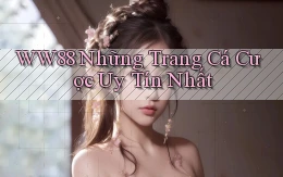 ww88 những trang cá cược uy tín nhất