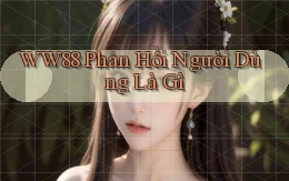 ww88 phản hồi người dùng là gì
