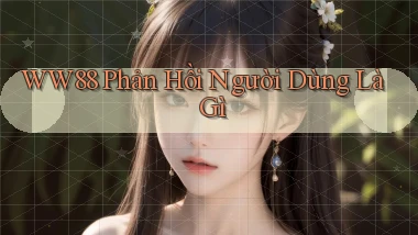 ww88 phản hồi người dùng là gì