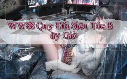 ww88 quy đổi siêu tốc bây giờ