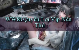 ww88 quyền lợi vip nên thử