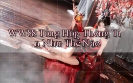ww88 tổng hợp thông tin như thế nào