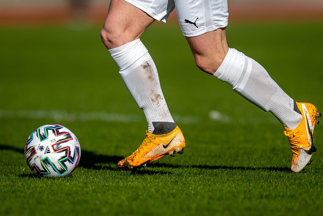 一直致力于 一直致力于