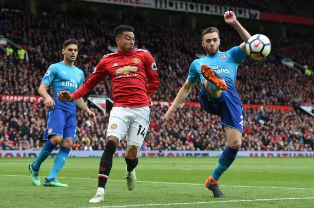 森林狼不仅 森林狼不仅